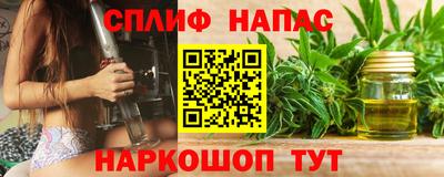дмт Малгобек