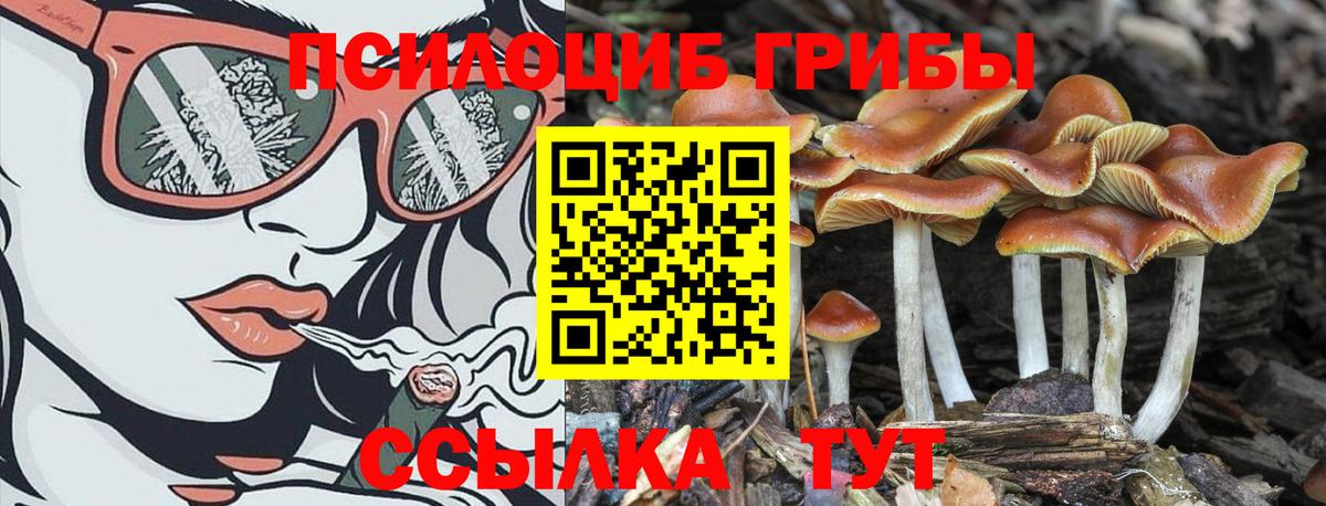 Ульяновск  Галлюциногенные грибы мухоморы  Вход с VPN 